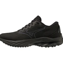 Mizuno WAVE INSPIRE 19 SSW WOMEN*Women Running|Running